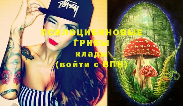прущие грибы Арсеньев