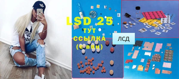 прущие грибы Арсеньев