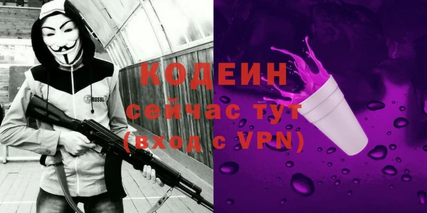 прущие грибы Арсеньев